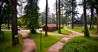 Huisje midden in de bossen op de Veluwe